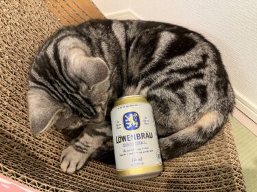 レーベンブロイと一番搾りを徹底比較！レーベンブロイは一番搾りより飲みやすい？